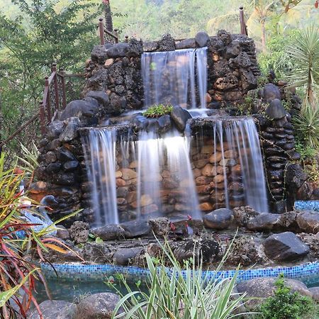 The Enchanting Nest Borim Εξωτερικό φωτογραφία