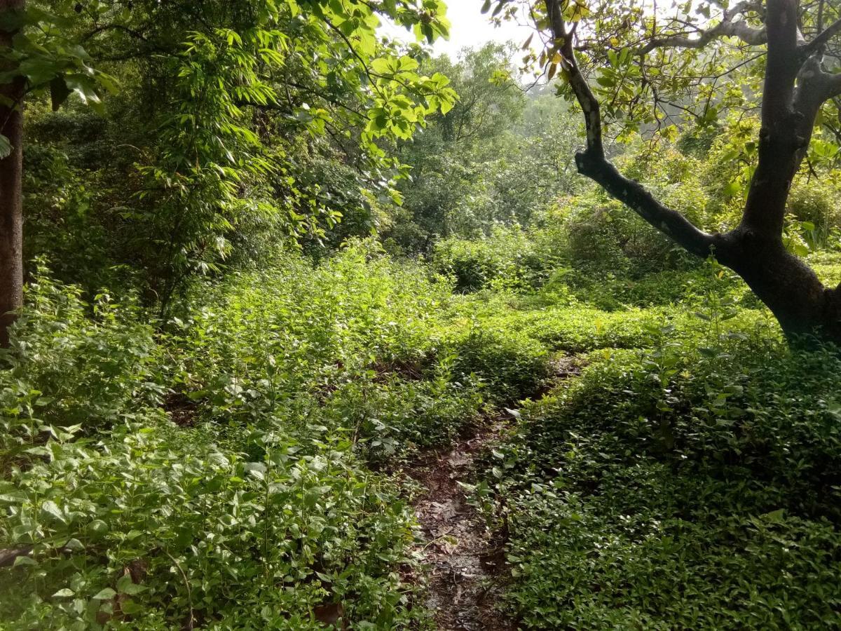 The Enchanting Nest Borim Εξωτερικό φωτογραφία